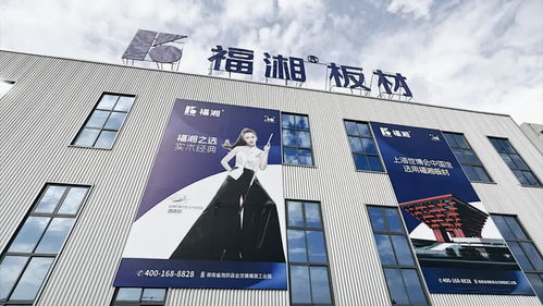 創(chuàng)新齊聚力 同心向未來丨福湘北方臨沂客戶服務(wù)中心成立暨新產(chǎn)品發(fā)布會圓滿成功